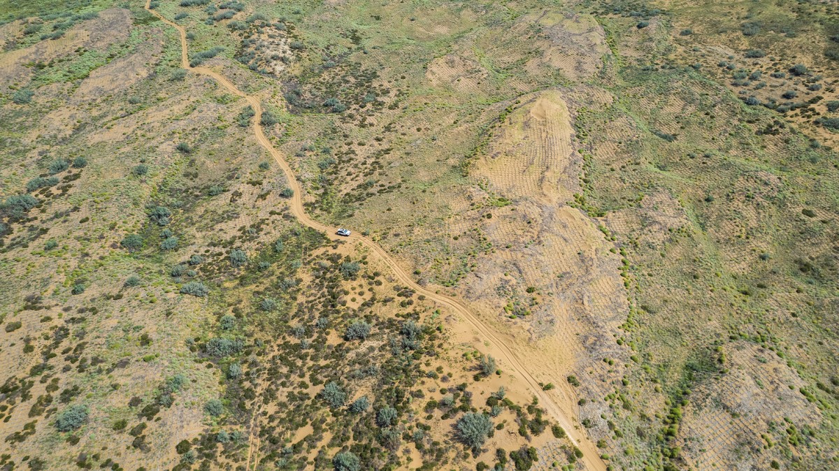 Section image